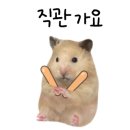 화랑로 1R 이미지