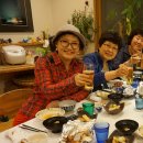 비호로 이미지