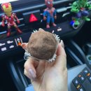 카페경선비 | 🍫[김포] 카페,경선비 장기점 두바이쫀득쿠키🍫