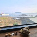 우도모닝펜션 | 제주 우도 숙소 우도모닝펜션 숙박 추천 후기
