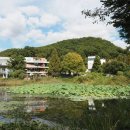 파주풀빌라 워라벨 호스텔 이미지