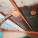 로그하우스 이미지