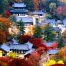 군자3리 | [스크랩] 전사경(全思敬)의 서루기(西樓記) [ 신증동국여지승람 제21권 ]