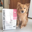 미사마이펫 | 마이펫닥터 강아지 유기농 사료 | 피부코트 알러제닉 스킨컨트롤 2kg