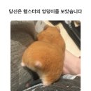 호텔 제로 이미지