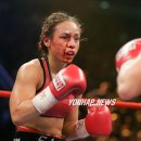 B.F boxing Daum카페