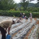 천화농장 이미지