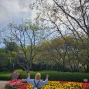 월미로1 | 월미도 가볼만한곳 월미공원 대관람차 해양 박물관 추천 후기