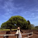 우영목장 이미지