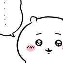 마루카츠 네이버블로그
