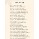 늘푸르름