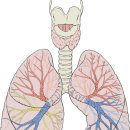 동아한의원 이미지