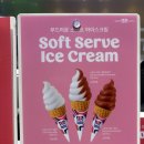 베라푸드 | 베스킨라빈스 소프트 아이스크림 출시 혼합맛 후기