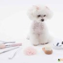 하나로 동물병원 이미지