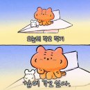 전이랑국시랑 이미지