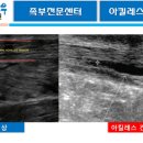 염 의 서 원 이미지