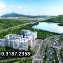 숲속의아침 이미지