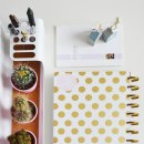 세종학원 이미지