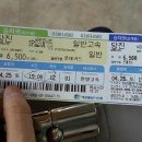 인천종합나무병원