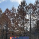 원동체육관 | 강촌 썬셋마라톤 10km 완주 후기! (feat. 션과 함께하는 기부마라톤)