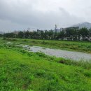 소초함께의원 | 일상.(0823~0829)