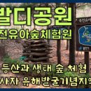 죽전유아숲체험원 네이버블로그