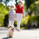박순석동물메디컬센터 이미지
