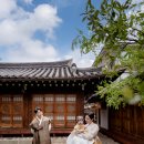 스튜디오돌