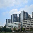 외대역부동산공인중개사사무소 이미지