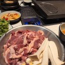 나루터식당 | 송리단길 오리고기맛집 발견한 나루터식당 재재방문 솔직후기