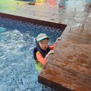 어푸어푸 이미지