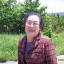 박실농장 Daum카페