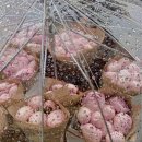 리틀플라워 - 고양시 일산동구 강석로 21 | 리틀플라워