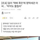 [르포] 알리 &#39;택배 폭탄&#39;에 평택세관 마비... &#34;마약도 뚫릴라&#34; 이미지