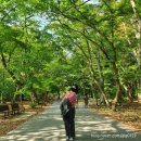 10-11월 일상| 이렇게 바쁜 백수 보셨나요?_에버랜드,공모전 1등하기, LH청년과의 랜선대화, 퍼스널컬러...