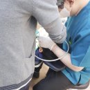 123플러스치과의원 이미지