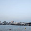 체리김밥 이미지