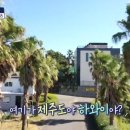 강정동-48 티스토리