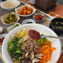 남사-11 | 산청 남사예담촌, 비빔밥 맛집, 왕콩나물요리전문점 애견동반 후기