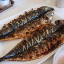 숙이네꼬마김밥&커피