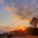 마니꼴똥돼지 펜션 이미지