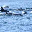 한동에너지 이미지