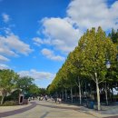 소양걍로110 | 上海]2일차(2)-상하이 디즈니랜드 실제 대기시간, 대동강맥주/평양소주 배달, 메이투안 배달음식 후기