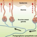상봉태평양약국 이미지