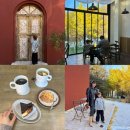 대형카센타 | 아이와 대전 유성 대형 카페 은행나무 뷰가 예쁜 [레포레스트] 다녀왔어요