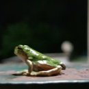 한울여관 이미지