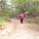 임대길농장 Daum카페