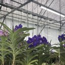 노티농장 이미지