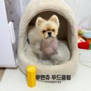🐾💛강아지 삼킴방지 필수템! 후앤츄 그리퍼 푸드클립 솔직 후기✨