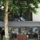 냥이파파 이미지